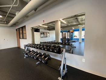 Free weights | 5th ward | fitness center